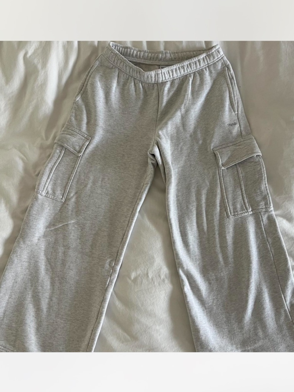 TNA Aritzia Cozy Sweatfleece Joggers in Light Gray